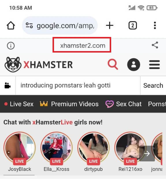 성인 사이트에 대한 AMP 페이지를 표시한 Google 검색 결과