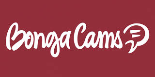 분홍색 BongaCams 로고