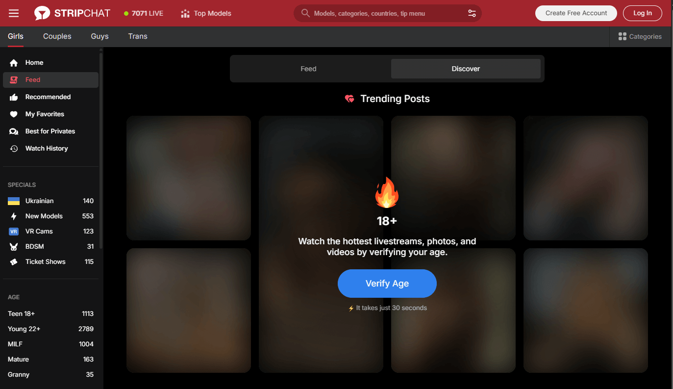 Stripchat age verification prompt